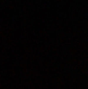 Meet your Posher, Oscar